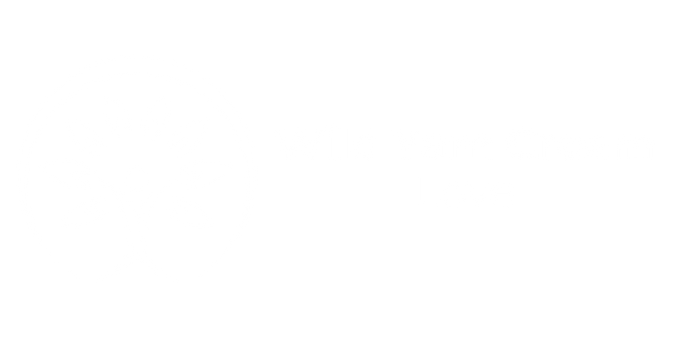 wild yam cream love logo in white text and transparent background